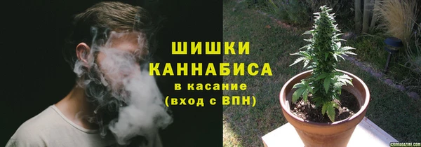 СК Богородицк