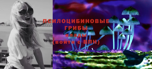 бошки Бугульма