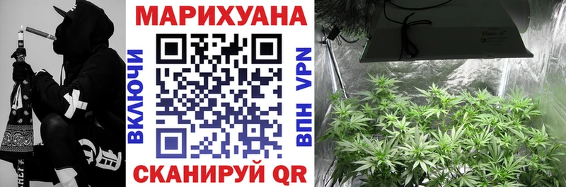 Купить где  Онега  Марихуана VHQ 